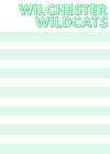 School Stripe Notepads