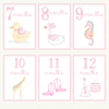 Baby Girl Milestone Cards
