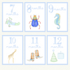 Baby Boy Milestone Cards